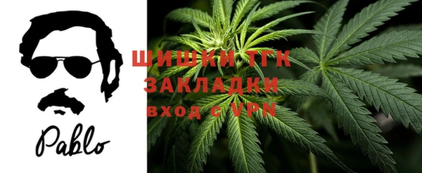дживик Зеленокумск