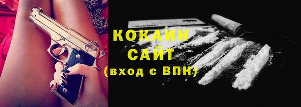 СК Каменногорск