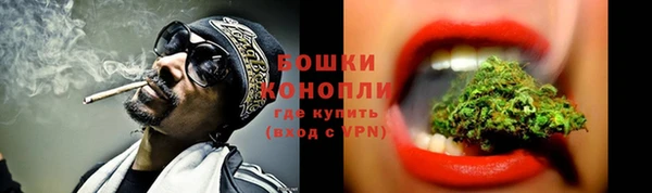 крисы Каменка