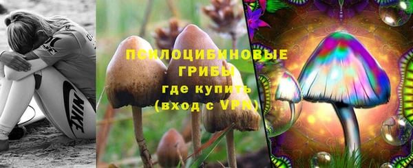 крисы Каменка