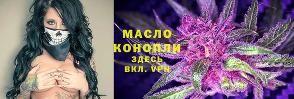 крисы Каменка