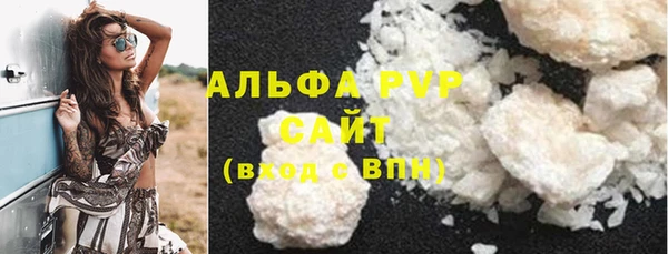 крисы Каменка
