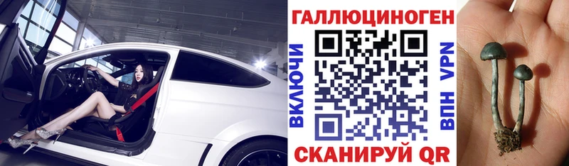 Псилоцибиновые грибы ЛСД  Купить закладки  Осинники 